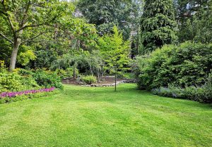 Optimiser l'expérience du jardin à Mondicourt